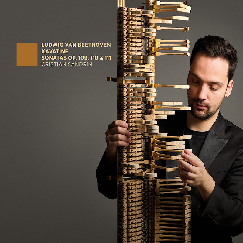 Cristian Sandrin - Beethoven: kavatine - sonates op. 109, 110 & 111 (CD)