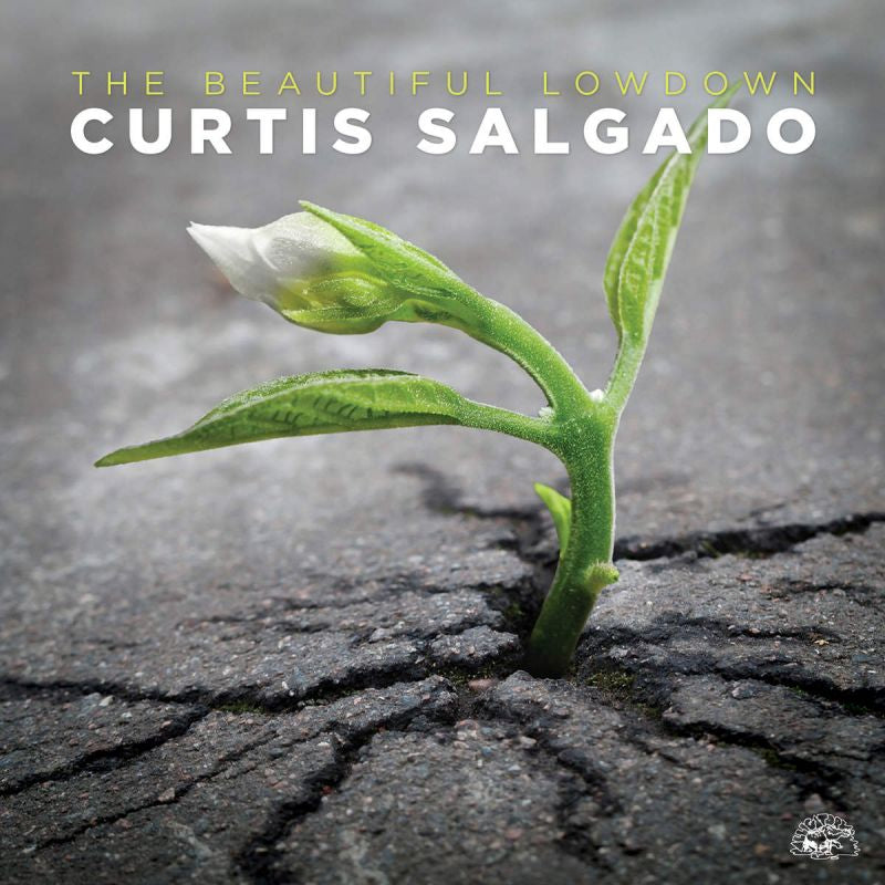 Curtis Salgado - The beautiful lowdown (CD)