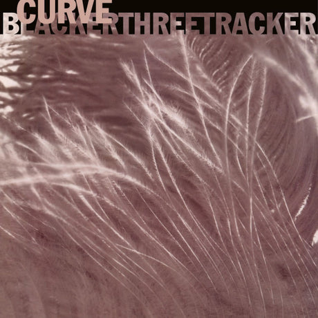 Curve - Blackerthreetracker (maxi 45 tours)