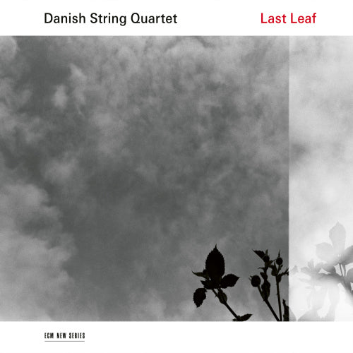Danish String Quartet - Last leaf (LP) - Velvet Music