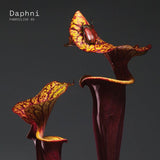 Daphni - Fabriclive 93 daphni (CD) - Velvet Music