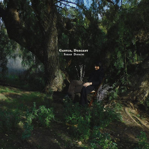 Sarah Davachi - Cantus, descant (LP) - Velvet Music
