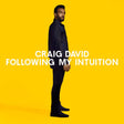 Craig David - Following my intuition (LP) - Velvet Music