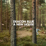 Deacon Blue - A new house (LP) - Velvet Music