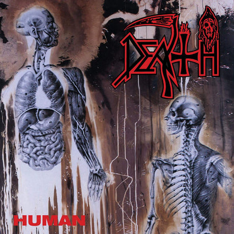 Death - Human (LP) - Velvet Music