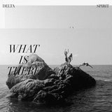 Delta Spirit - What is there (LP) - Velvet Music