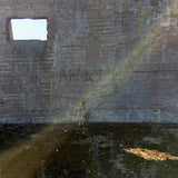 Desperate Journalist - In search of the miraculous (CD) - Velvet Music