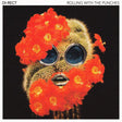 Di-rect - Rolling with the punches (CD) - Velvet Music