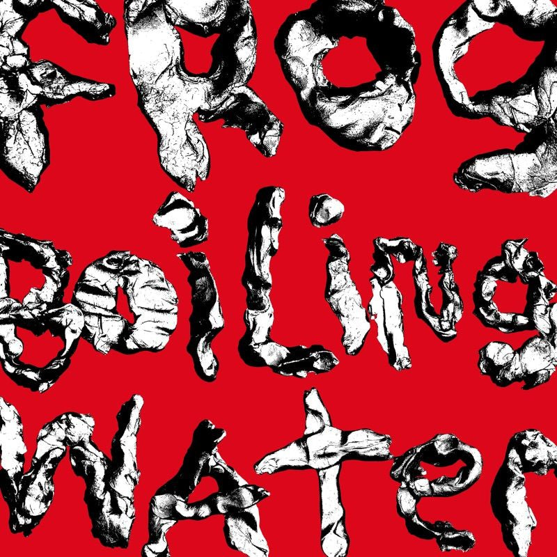 DIIV - Frog in boiling water (LP) - Velvet Music