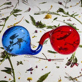 Dirty Projectors - Lamp lit prose (CD) - Velvet Music