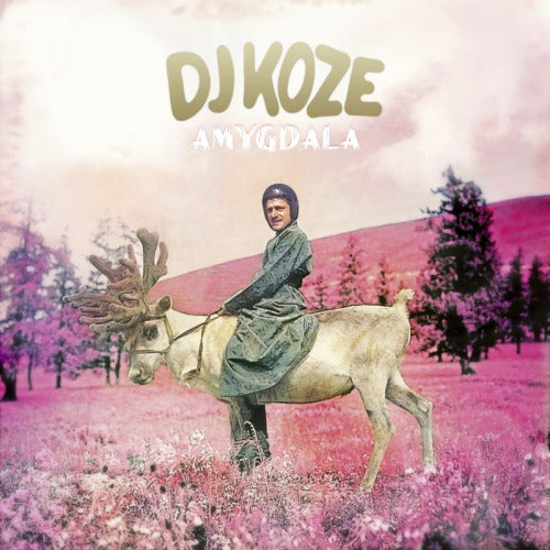 Dj Koze - Amygdala (CD) - Velvet Music