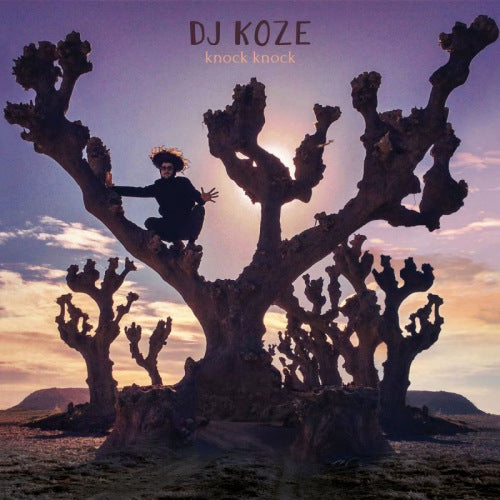 Dj Koze - Knock knock (12-inch maxi-single) - Velvet Music