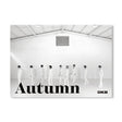 DKB - Autumn (CD) - Velvet Music
