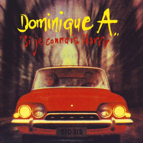 Dominique A - Si je connais harry (LP)