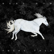Dool - Here now, there then (LP) - Velvet Music