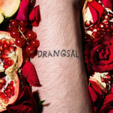Drangsal - Harieschaim (LP) - Velvet Music