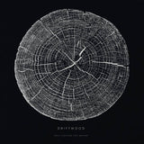 Driftwood - Only fighters left behind (LP) - Velvet Music