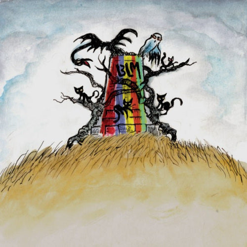 Drive-By Truckers - The new ok -coloured- (LP) - Velvet Music