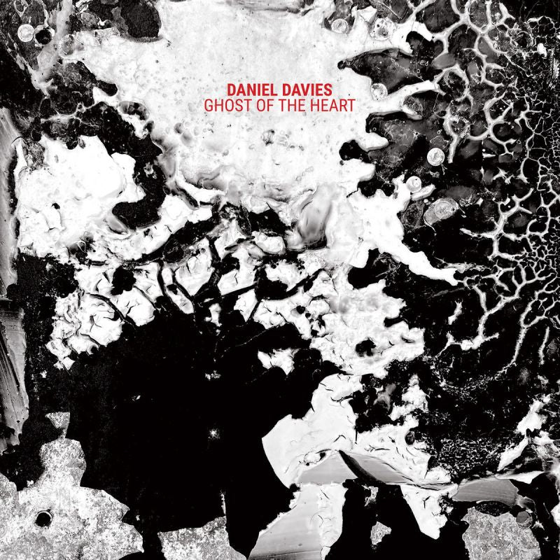 Daniel Davies - Ghost of the heart (LP) - Velvet Music
