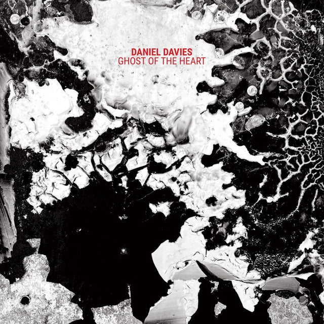 Daniel Davies - Ghost of the heart (LP) - Velvet Music