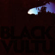 Daniel Norgren - Black vultures (LP) - Velvet Music