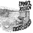 Daniel Rossen - Deerslayer (12-inch maxi-single) - Velvet Music