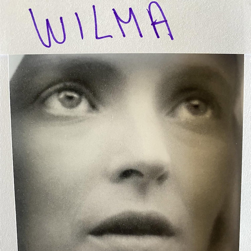 Daniele Luppi - Wilma (LP)