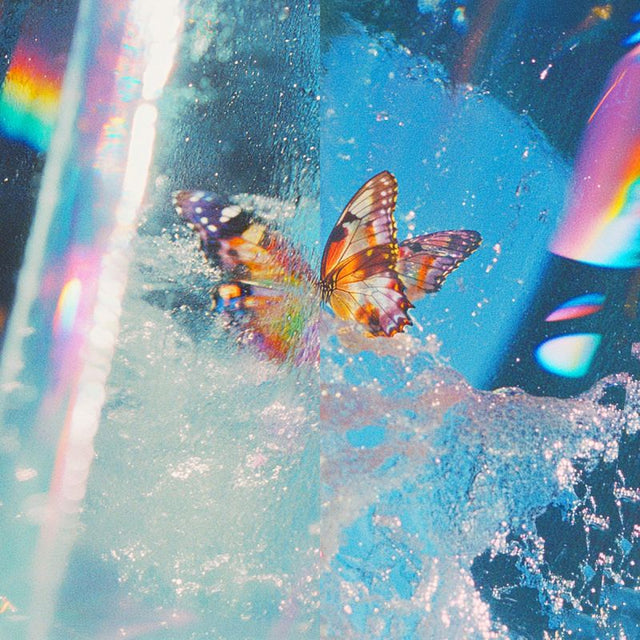 Daphni - Butterfly (CD) - Velvet Music
