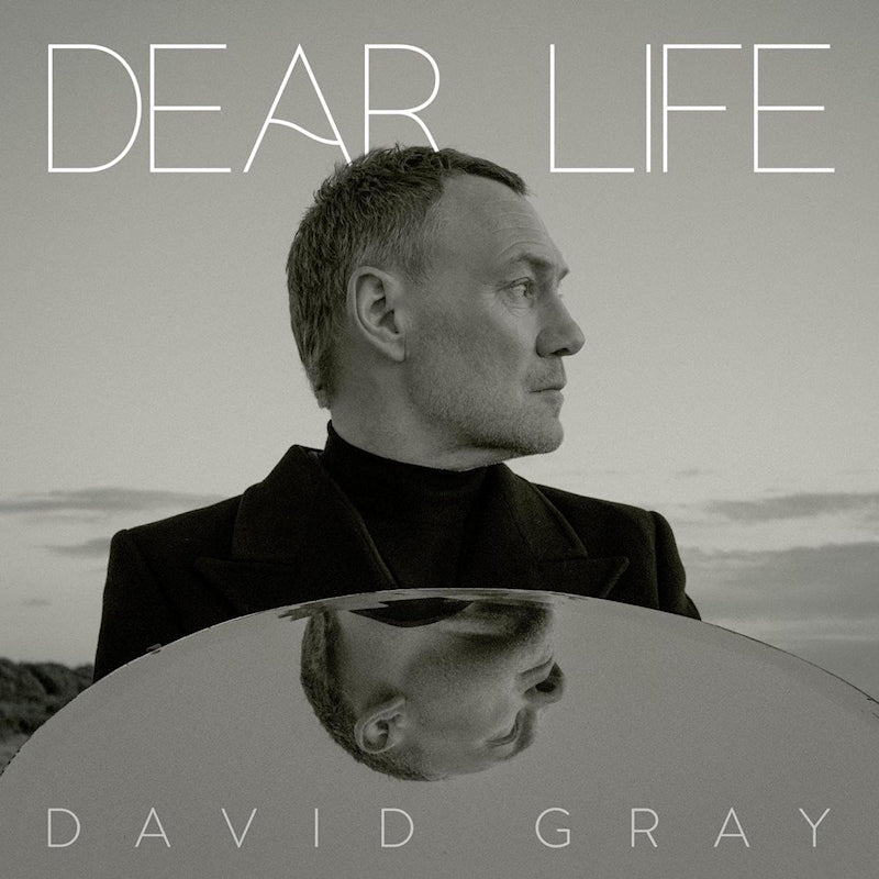 David Gray - Dear life (seaweed green vinyl) (LP) - Velvet Music