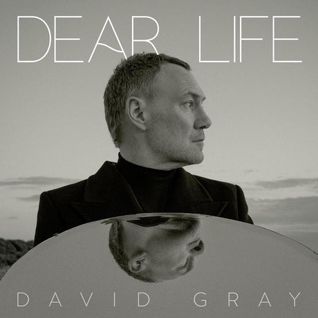David Gray - Dear life (seaweed green vinyl) (LP) - Velvet Music