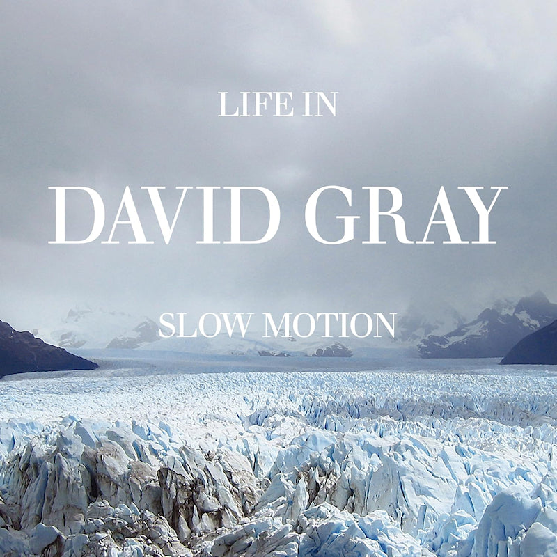 David Gray - Life in slow motion (20th ann. edition)(glacial blue) (LP) - Velvet Music