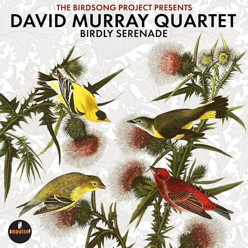 David Murray Quartet - Birdly serenade (CD)