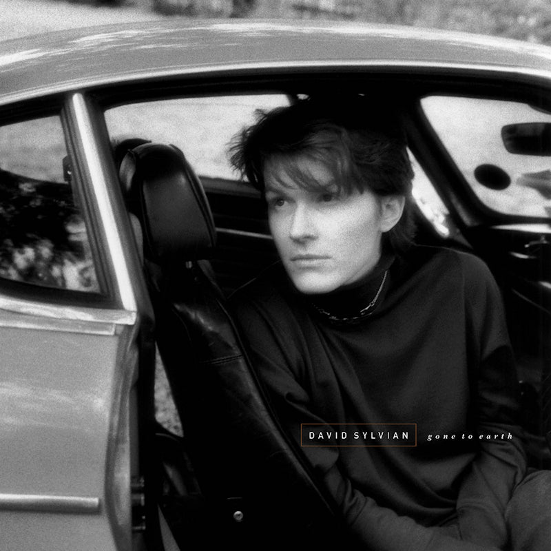 David Sylvian - Gone to earth (LP) - Velvet Music