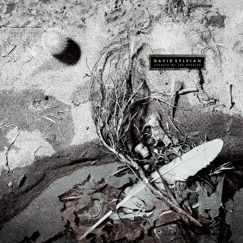 David Sylvian - Secrets of the beehive (LP) - Velvet Music