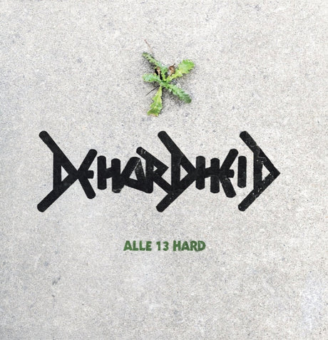 De Hardheid - Alle 13 hard (LP) - Velvet Music