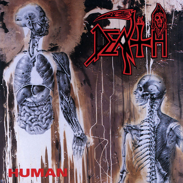 Death - Human (LP) - Velvet Music