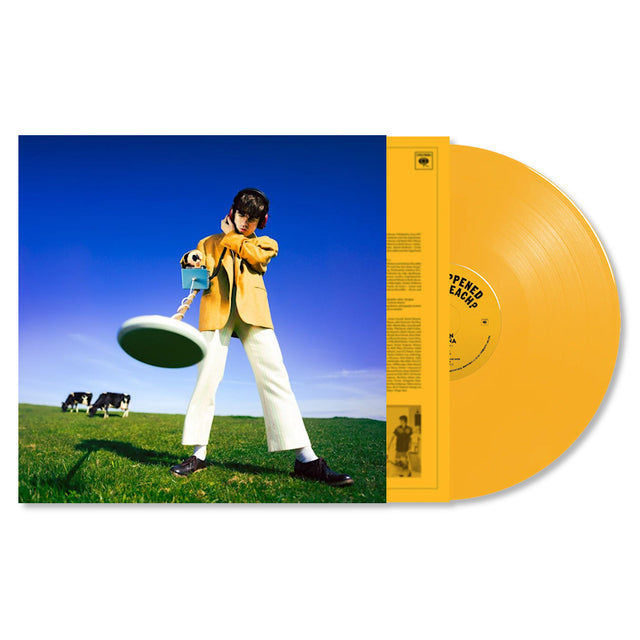 Declan McKenna - What happened to the beach? (LP) - Velvet Music