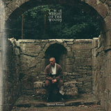 Dermot Kennedy - The weight of the woods (LP) - Velvet Music