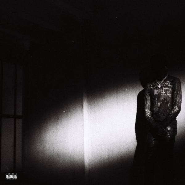 Destroy Lonely - No stylist (LP) - Velvet Music