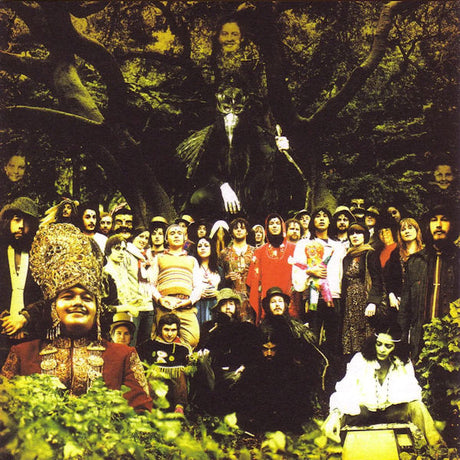 Devendra Banhart - Cripple crow (LP) - Velvet Music