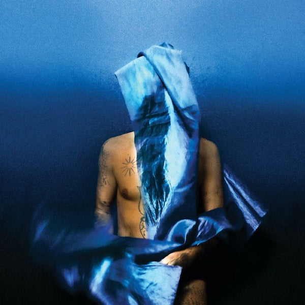 Devendra Banhart - Flying wig (LP) - Velvet Music