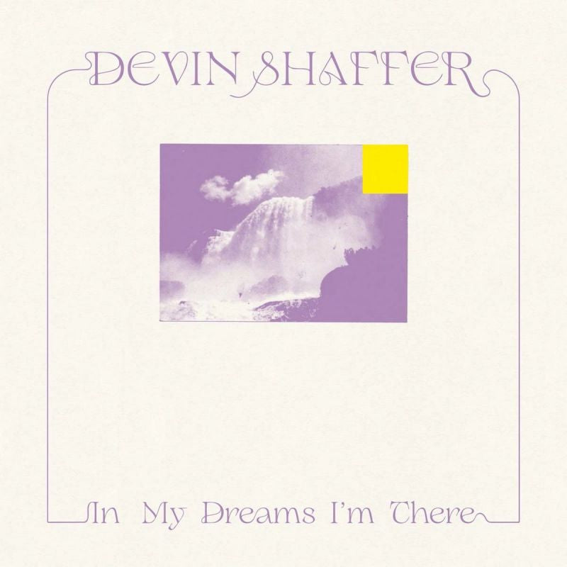 Devin Shaffer - In my dreams i'm there (CD) - Velvet Music