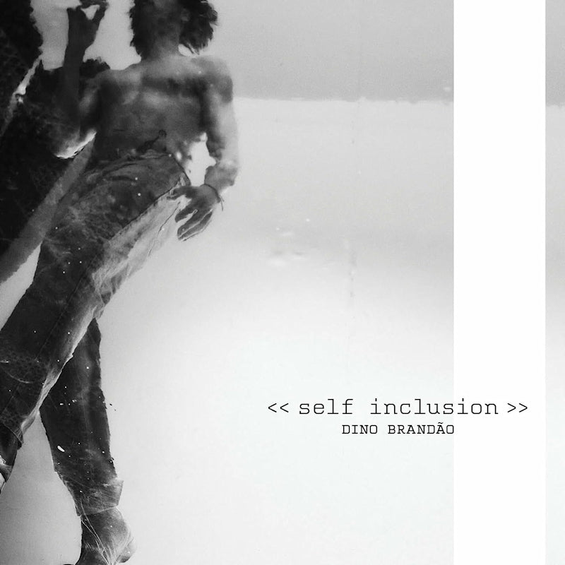 Dino Brandao - Self inclusion (LP) - Velvet Music