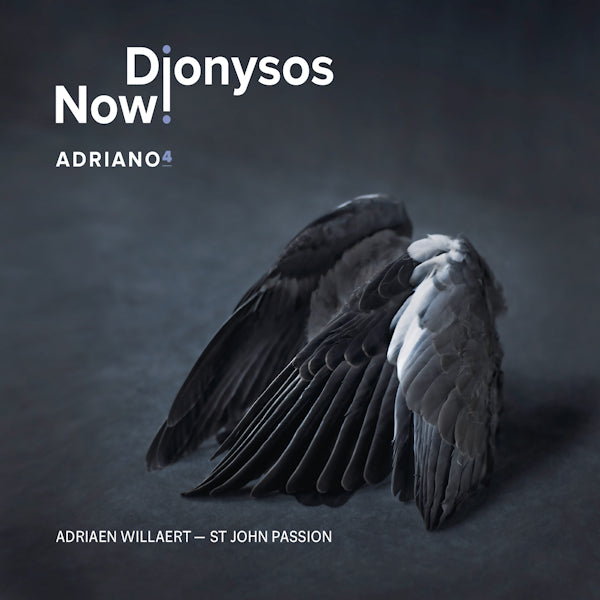 Dionysos Now! - Adriano 4 (CD) - Velvet Music