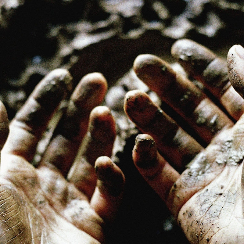 Dis Fig - What to make of these mortal hands (LP)
