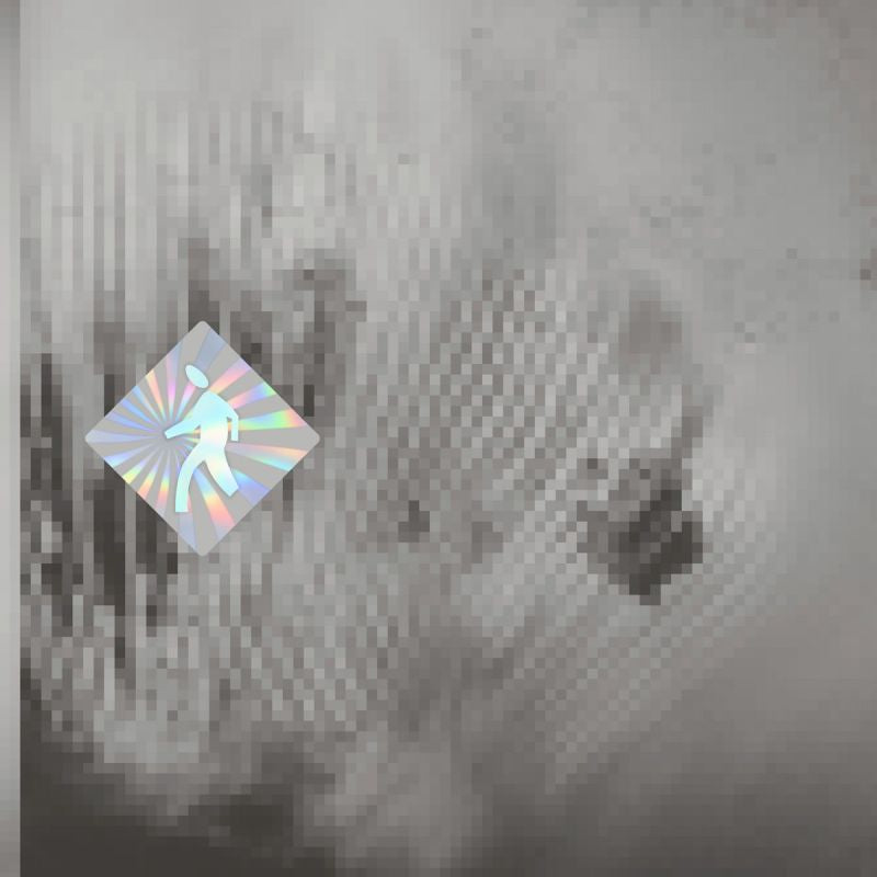 Discovery Zone - Quantum web (LP) - Velvet Music