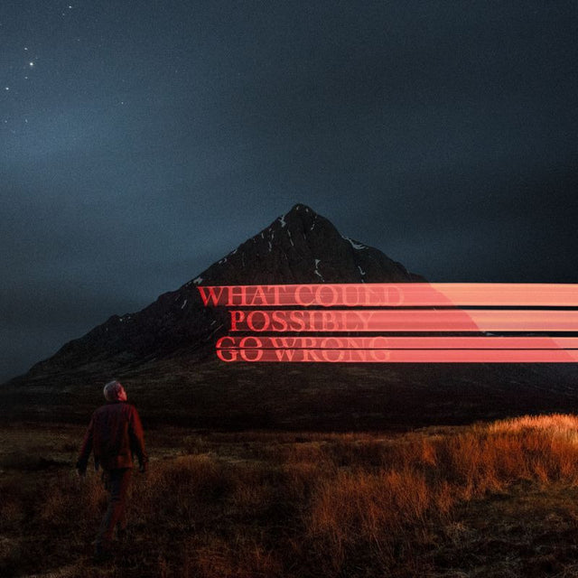 Dominic Fike - What could possibly go wrong (CD) - Velvet Music