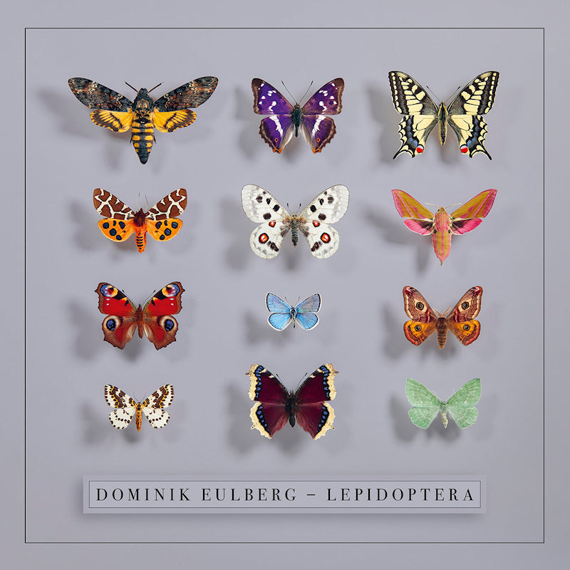 Dominik Eulberg - Lepidoptera (CD) - Velvet Music