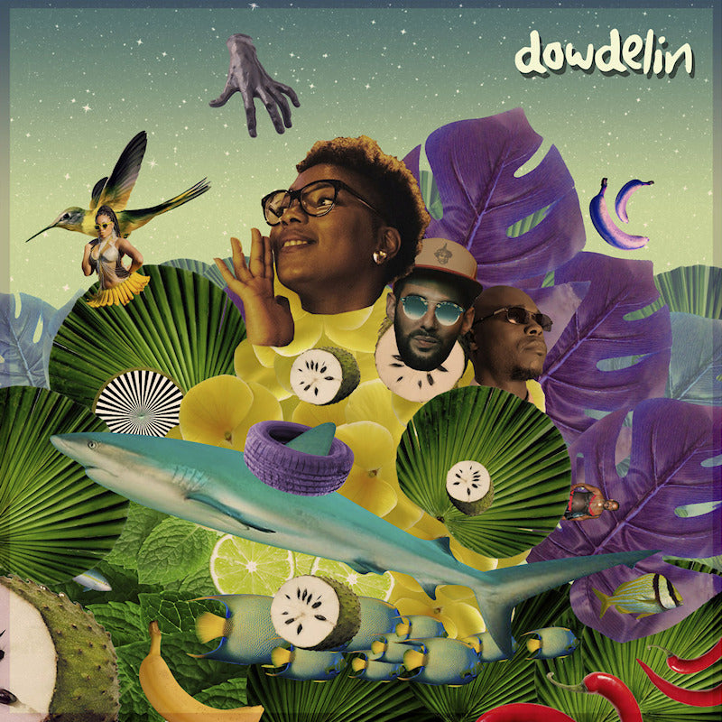 Dowdelin - Carnival odyssey (LP)