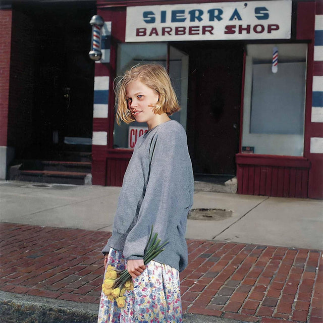 Drop Nineteens - Delaware (LP) - Velvet Music